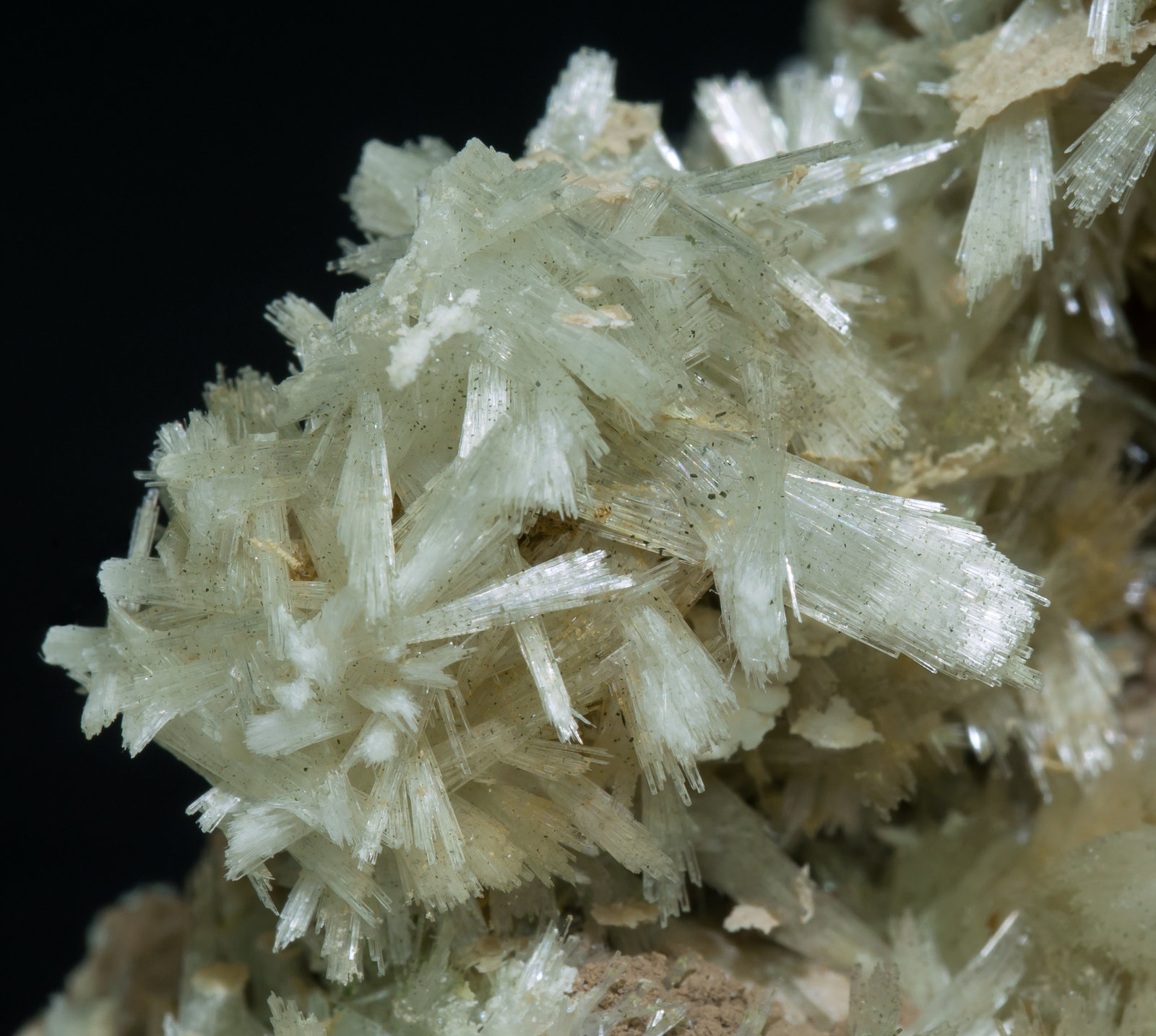 specimens/s_imagesAA1/Pectolite-ED86AA1d.jpg