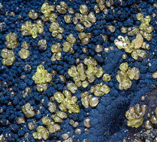 Sulphur on Covellite. 