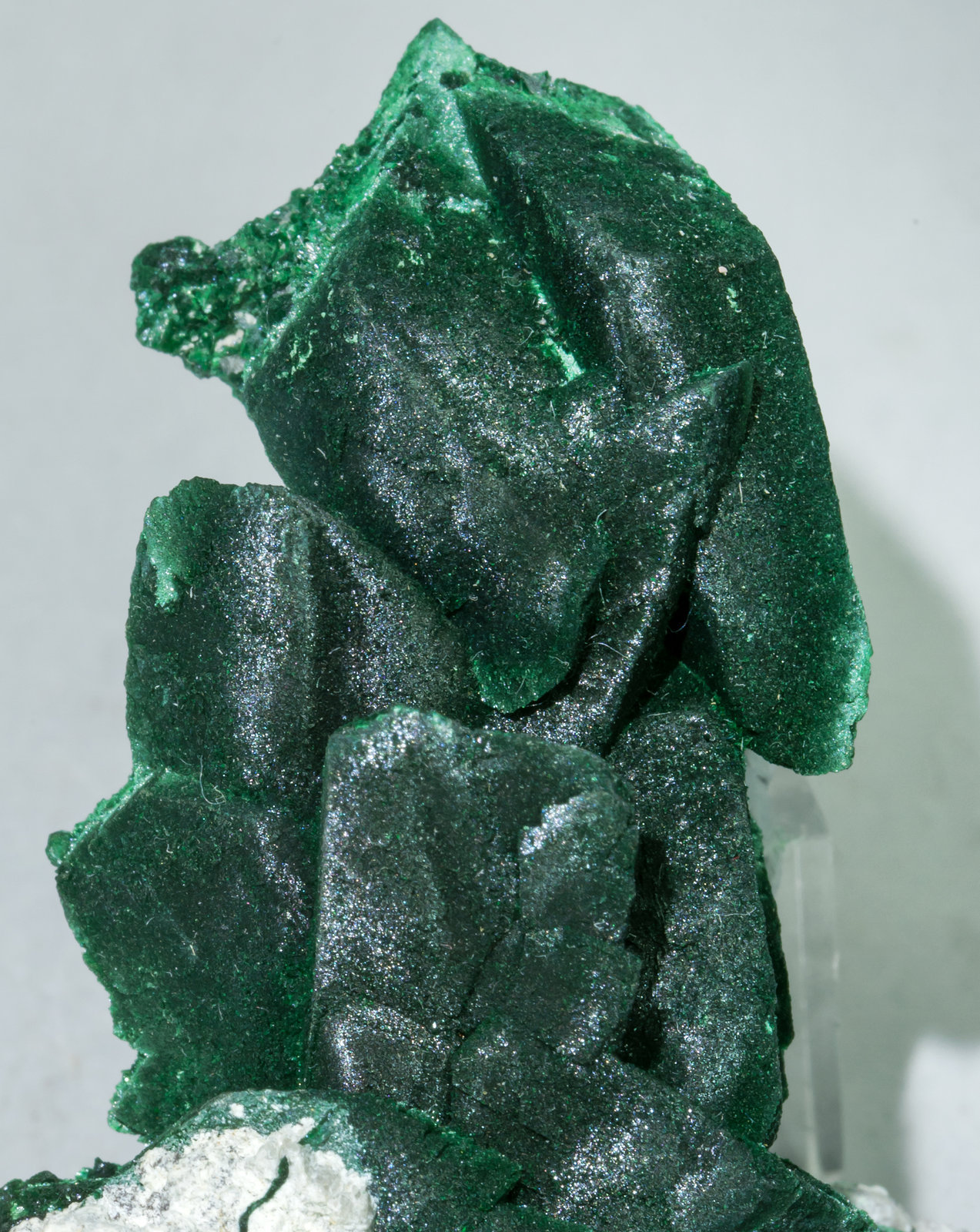 specimens/s_imagesAA2/Malachite-TB47AA2d.jpg