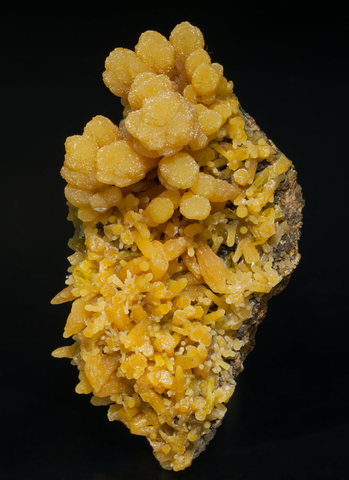 specimens/s_imagesAA2/Mimetite-TW99AA2f.jpg