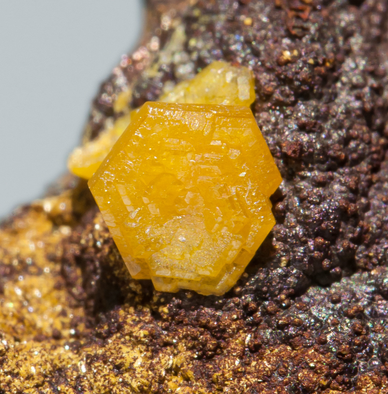 specimens/s_imagesAA3/Mimetite-NR10AA3d.jpg