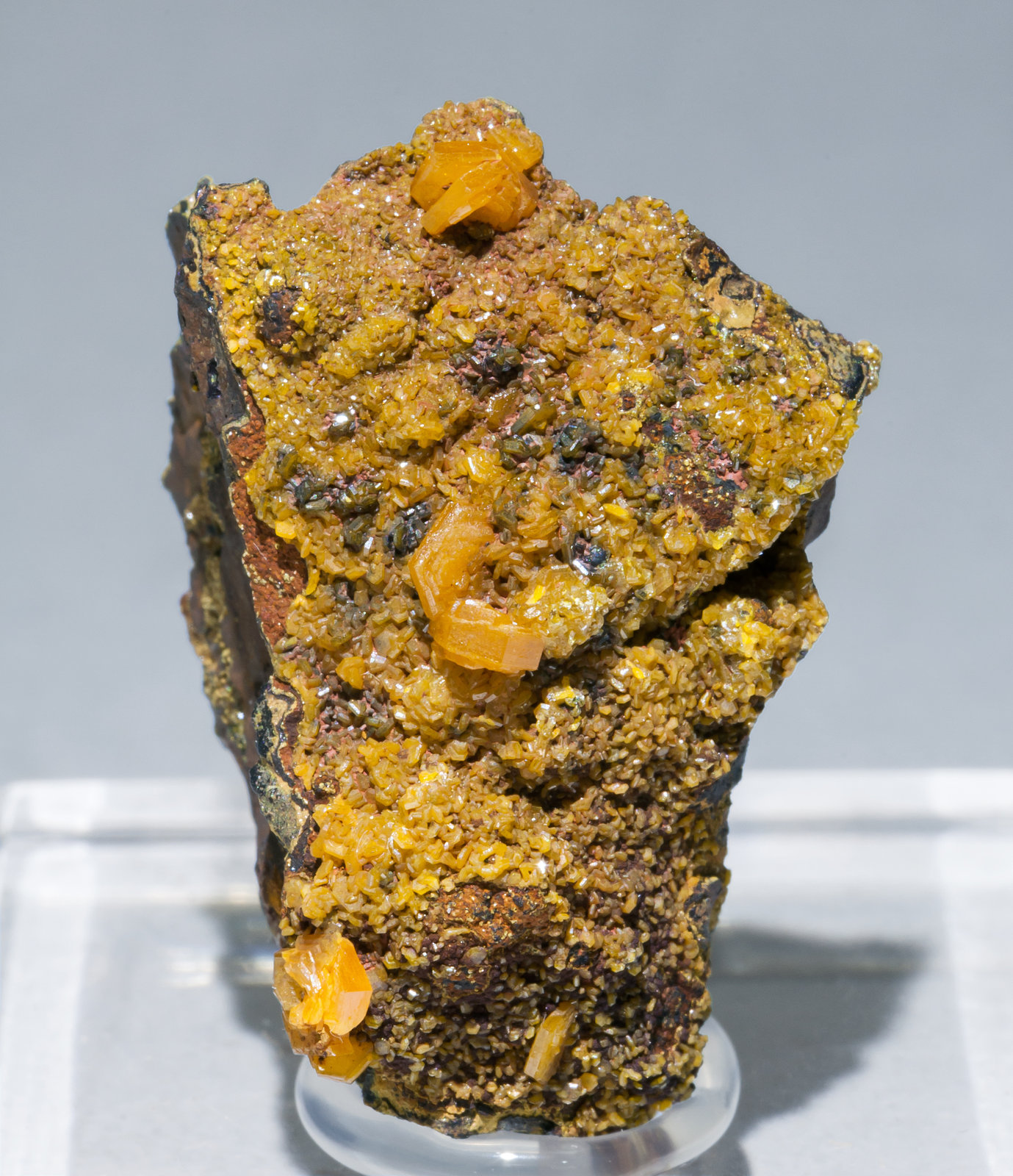 specimens/s_imagesAA3/Mimetite-NY60AA3f.jpg