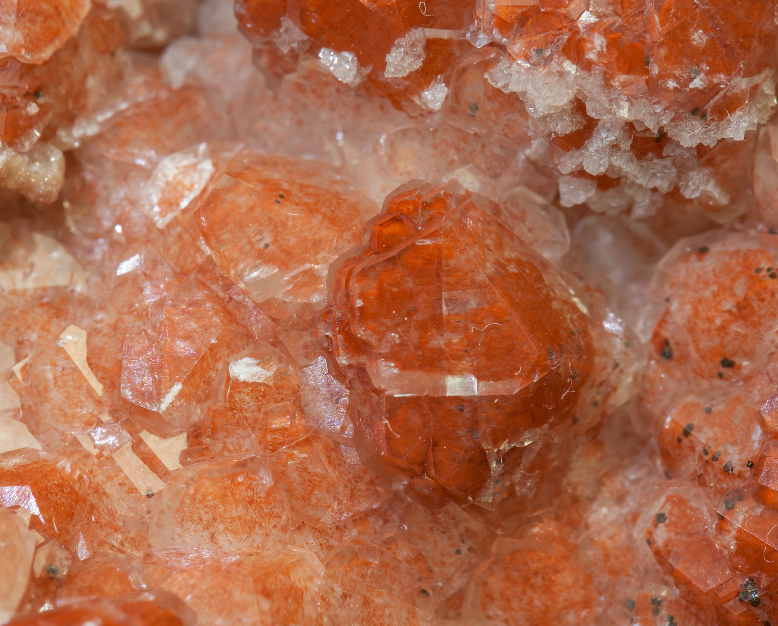 specimens/s_imagesAA4/Calcite-EF49AA4d2.jpg