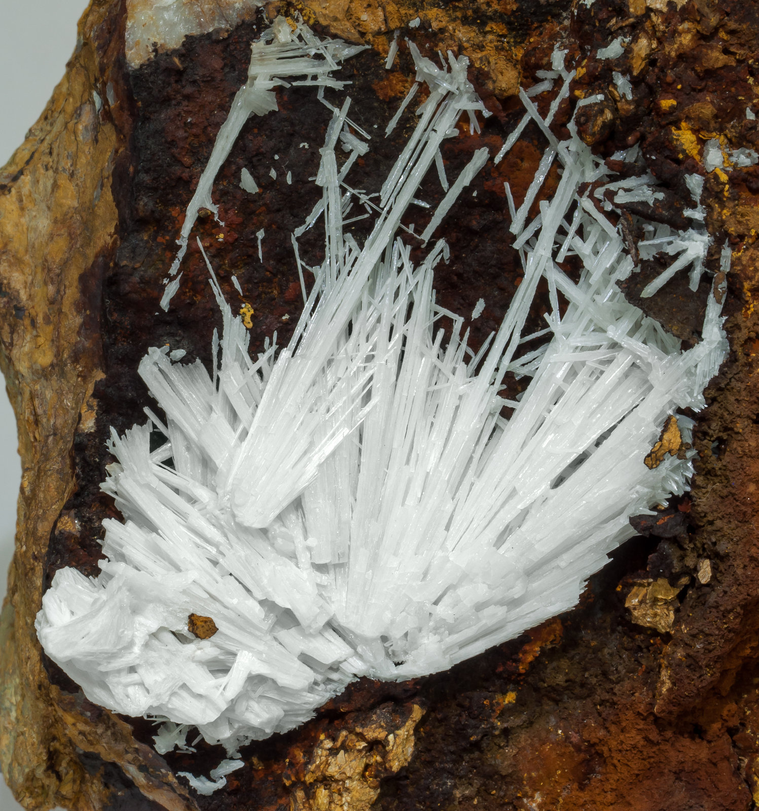 specimens/s_imagesAA4/Cerussite-EM90AA4d.jpg