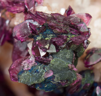 Mg-rich Roselite with Cu-rich Cobaltaustinite and Cobaltlotharmeyerite on Dolomite. 