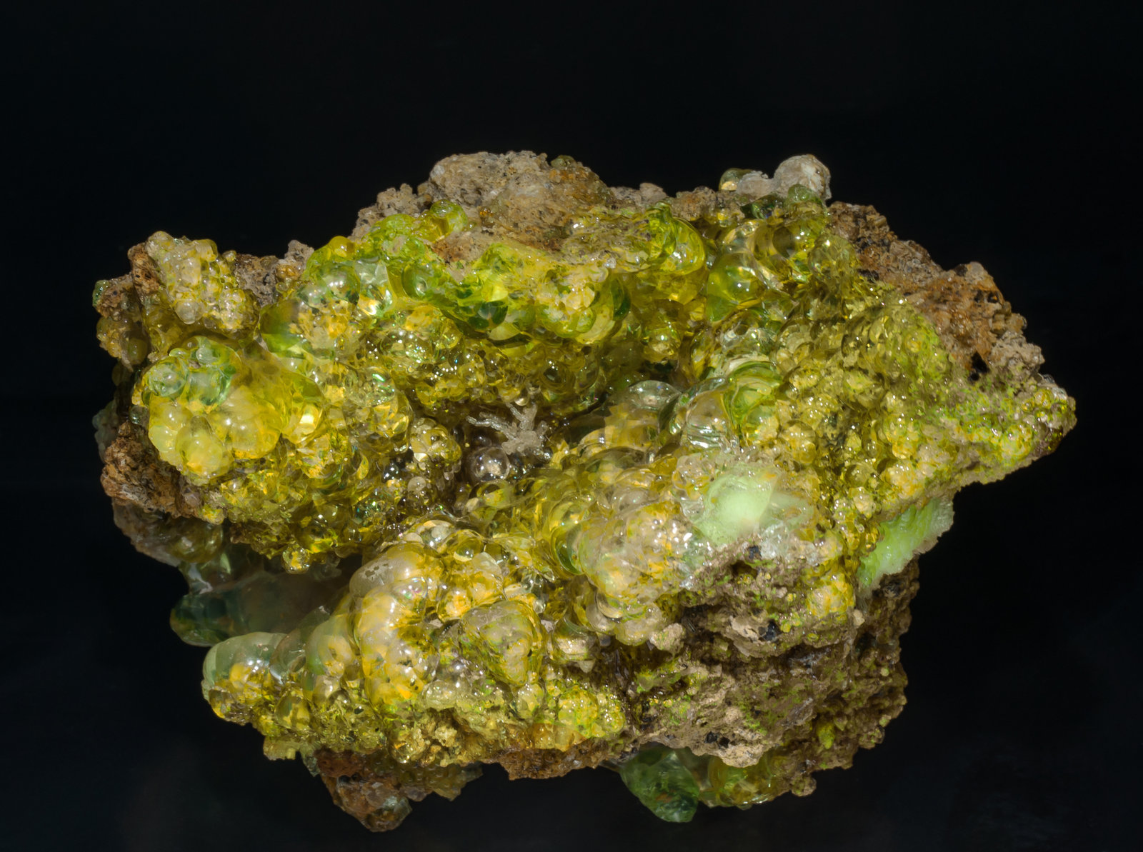 specimens/s_imagesAA5/Opal_hyalite-TE26AA5f1.jpg