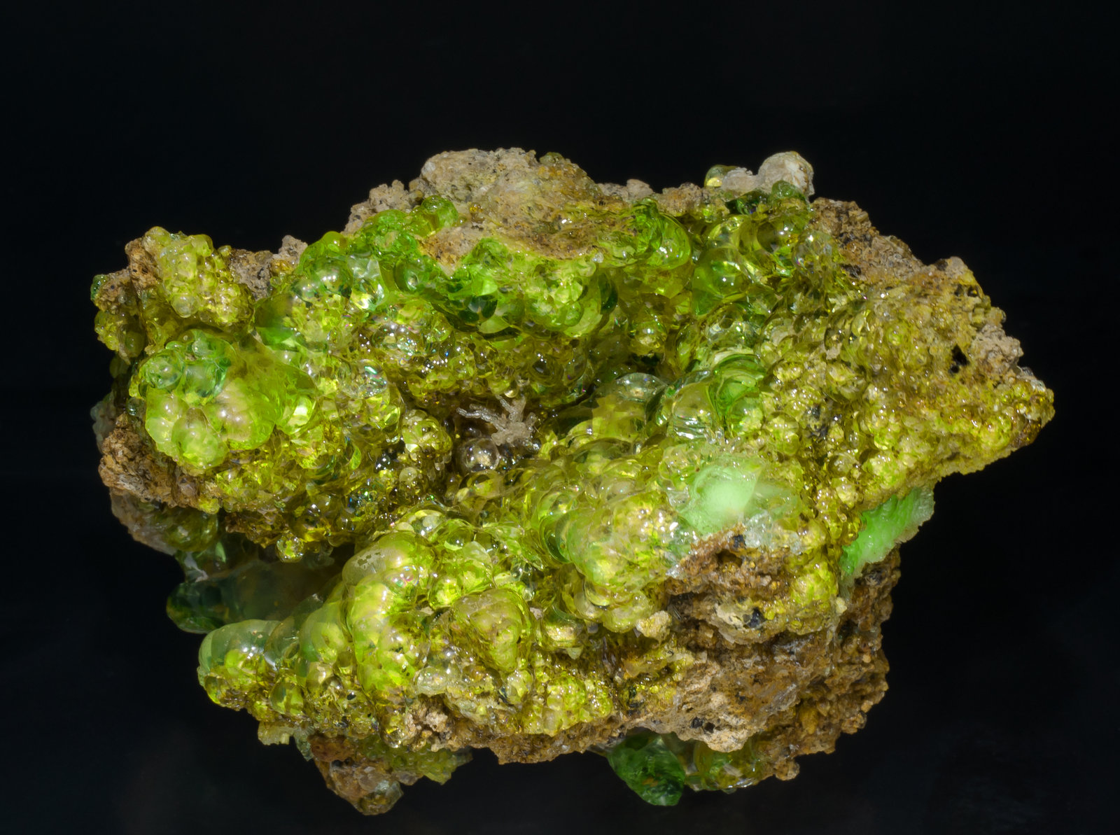 specimens/s_imagesAA5/Opal_hyalite-TE26AA5f2.jpg