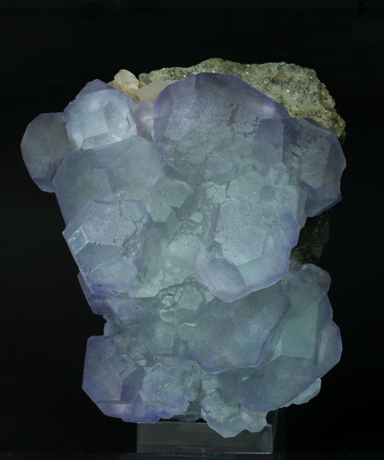 specimens/s_imagesAA6/Fluorite-MT66AA6s.jpg