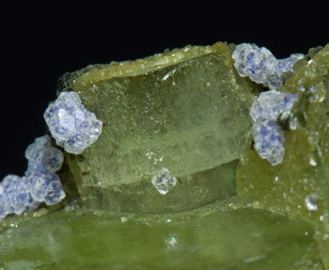 Fluorite with Fluorapatite and Muscovite. 