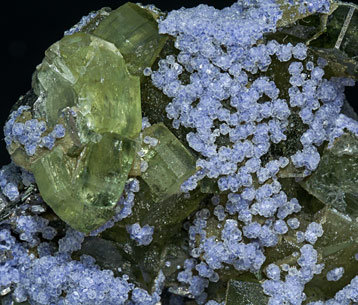 Fluorite with Fluorapatite, Arsenopyrite, Calcite and Muscovite. 