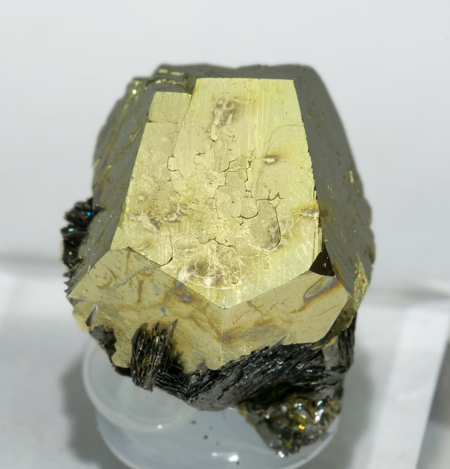 specimens/s_imagesAA7/Pyrite-VM13AA7f.jpg