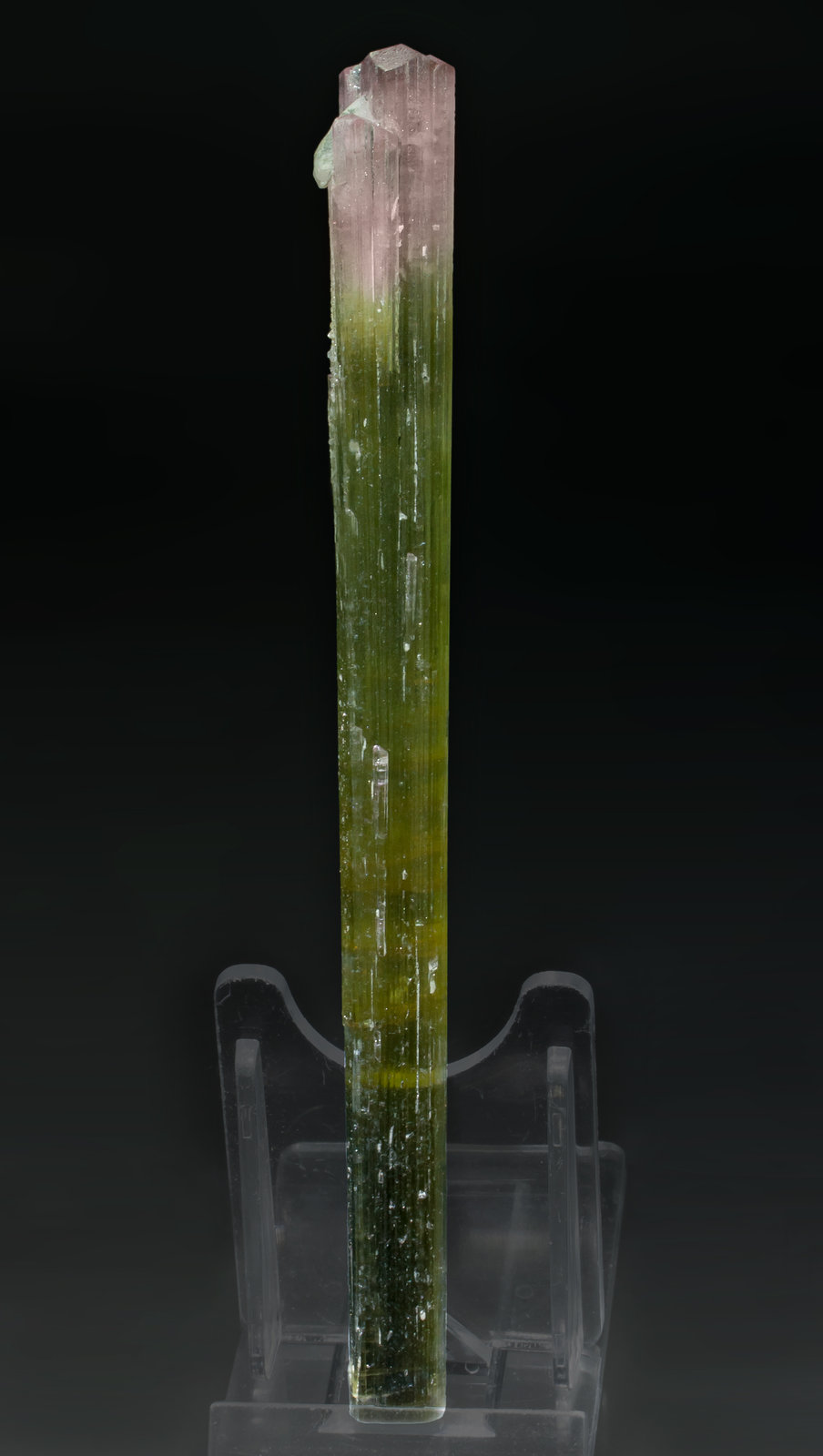 specimens/s_imagesAA8/Elbaite-MF46AA8f2.jpg