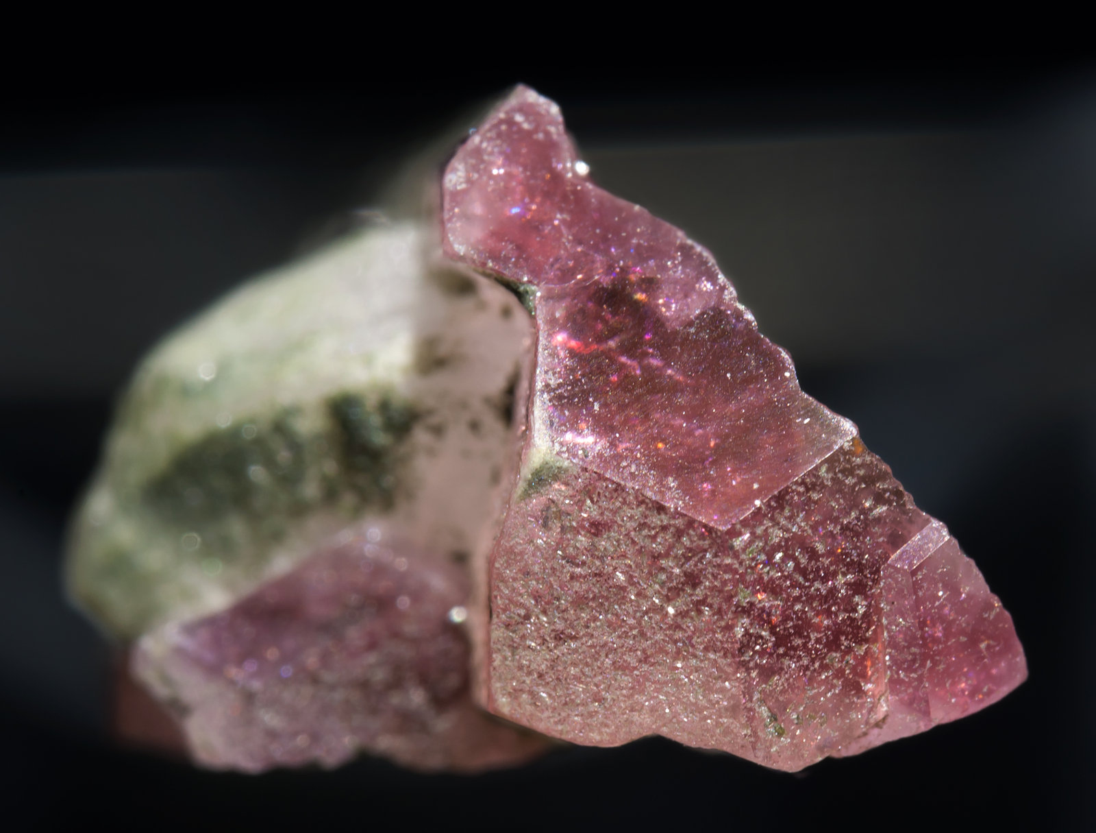 specimens/s_imagesAA8/Elbaite-MF46AA8t.jpg