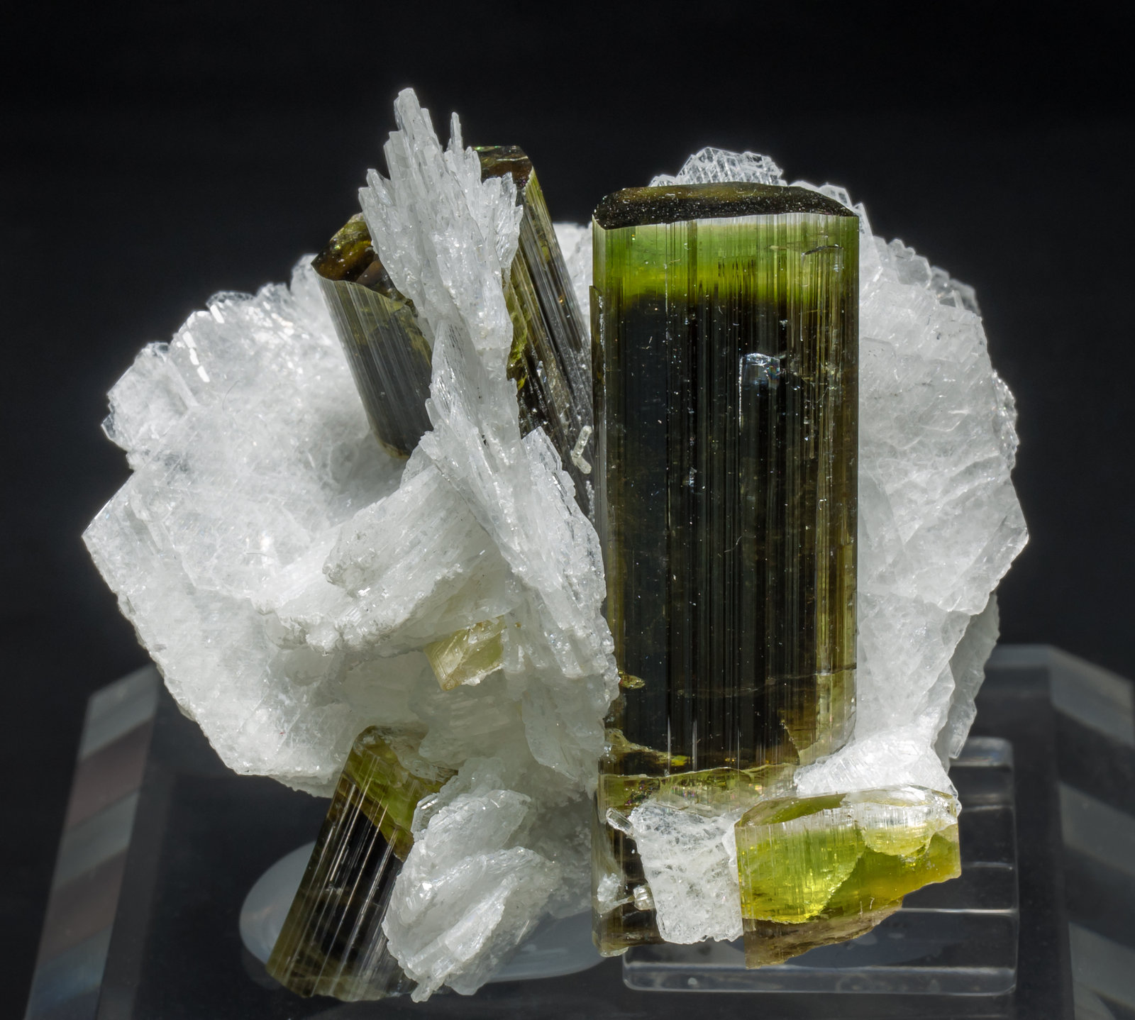 specimens/s_imagesAA8/Elbaite-MZ47AA8f.jpg