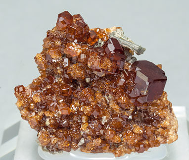 Grossular (variety hessonite) with Clinochlore. Front