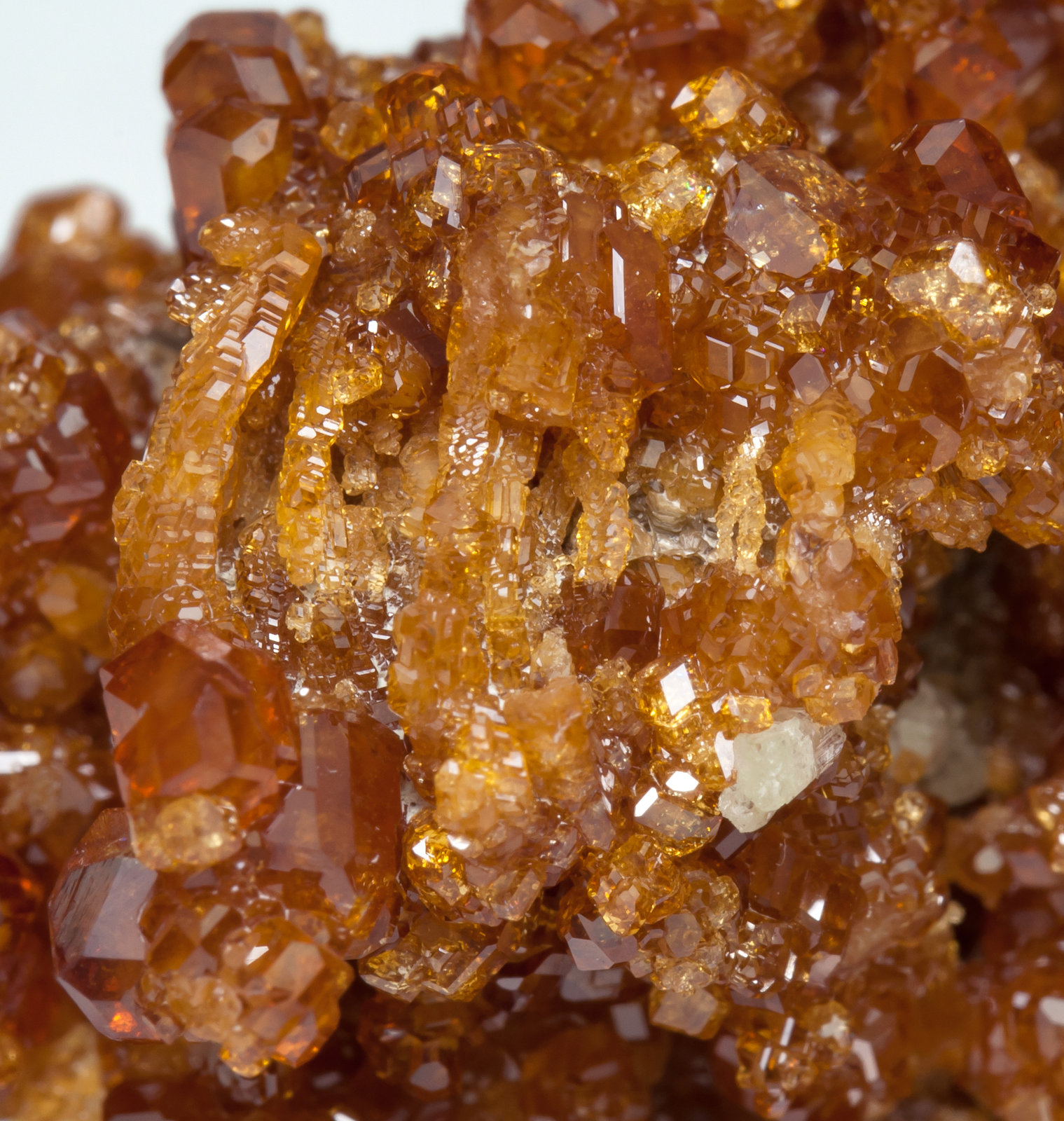 specimens/s_imagesAA8/Grossular_hessonite-MV89AA8d2.jpg