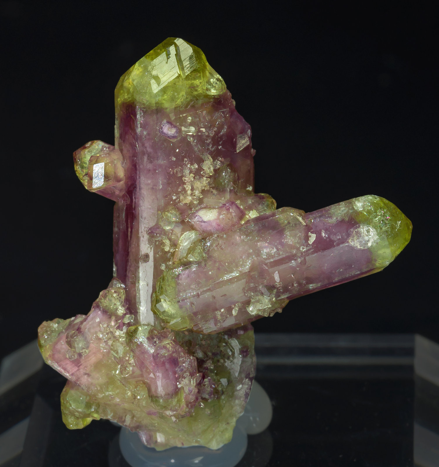 specimens/s_imagesAA8/Vesuvianite-ME39AA8f.jpg