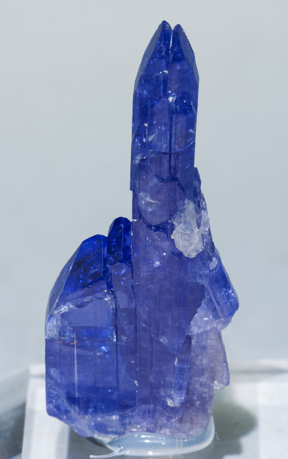 specimens/s_imagesAA8/Zoisite_tanzanite-MX89AA8s.jpg