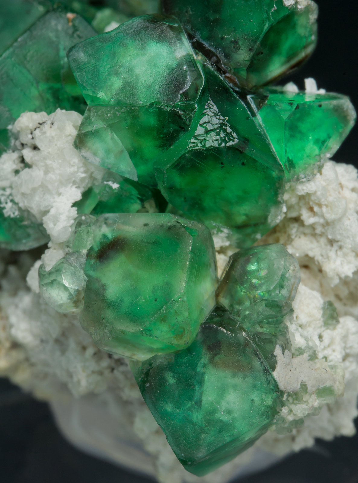 specimens/s_imagesAA9/Fluorite-FD16AA9d.jpg