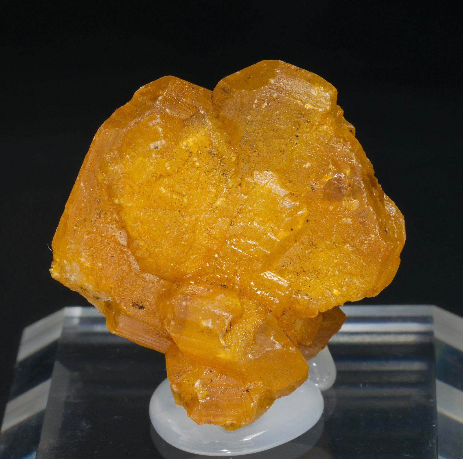 specimens/s_imagesAA9/Wulfenite-MF48AA9f.jpg