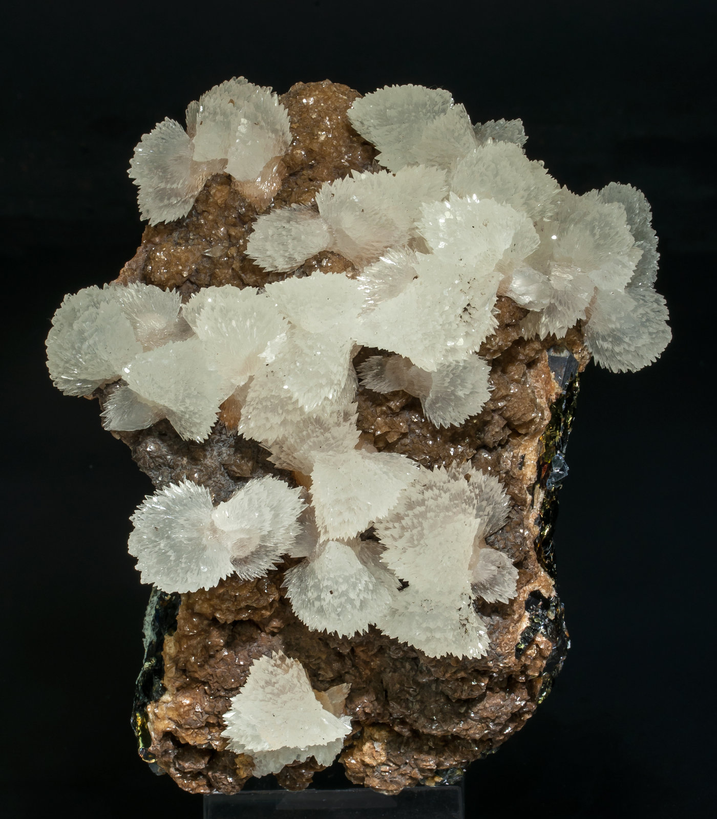 specimens/s_imagesAB0/Calcite-SD89AB0f.jpg