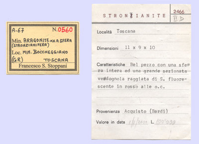 Strontium rich Aragonite
