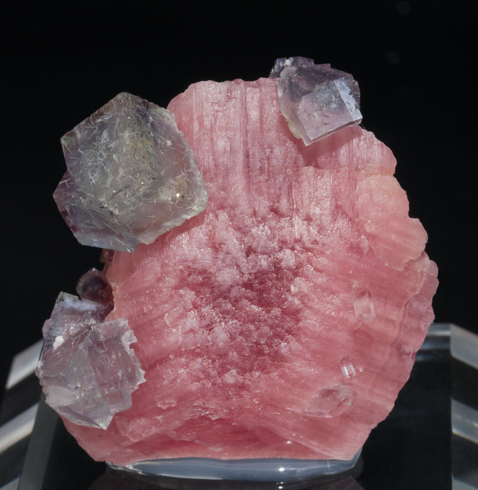 specimens/s_imagesAB1/Rhodochrosite-FP97AB1f.jpg