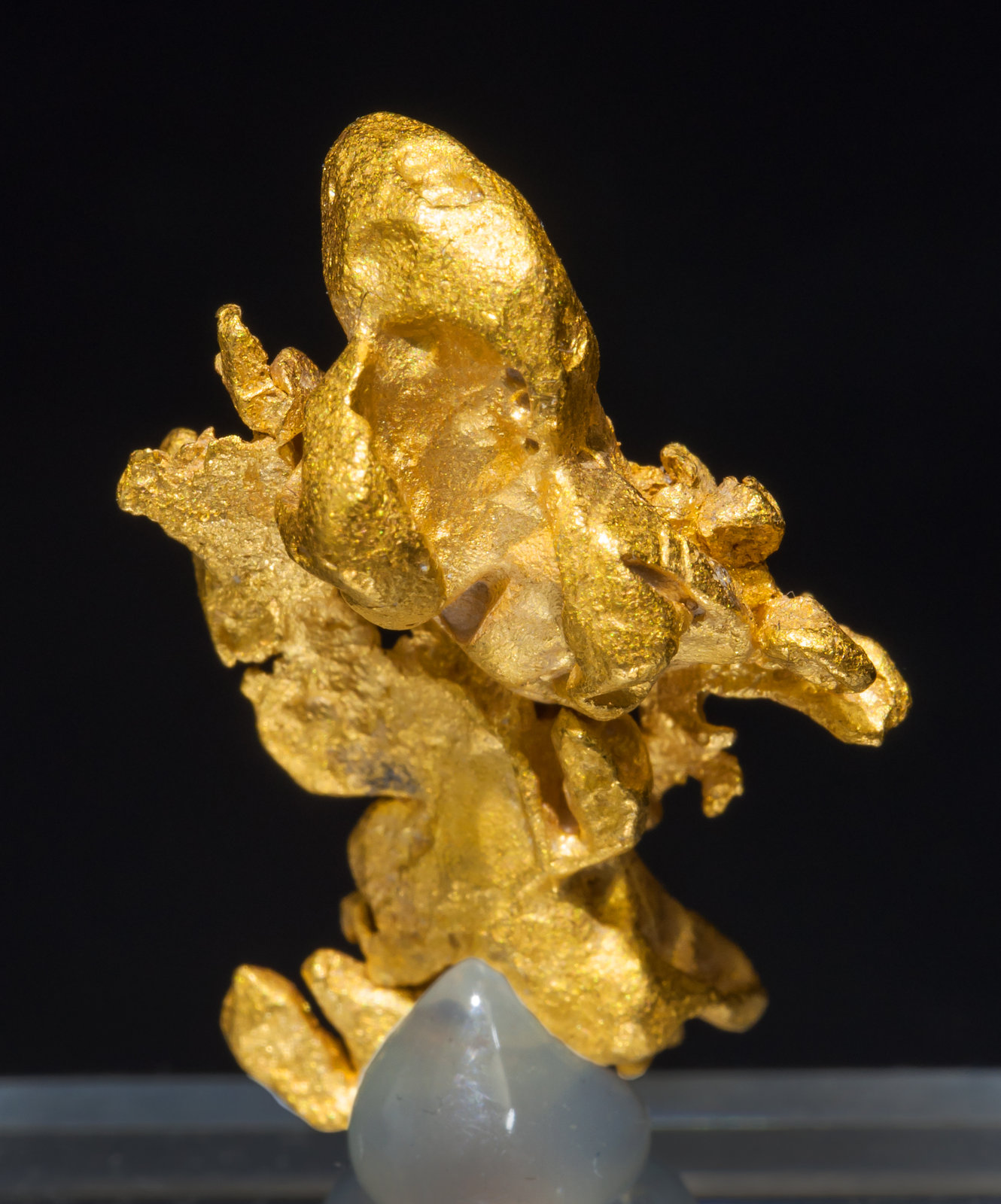specimens/s_imagesAB2/Gold-TC26AB2r.jpg
