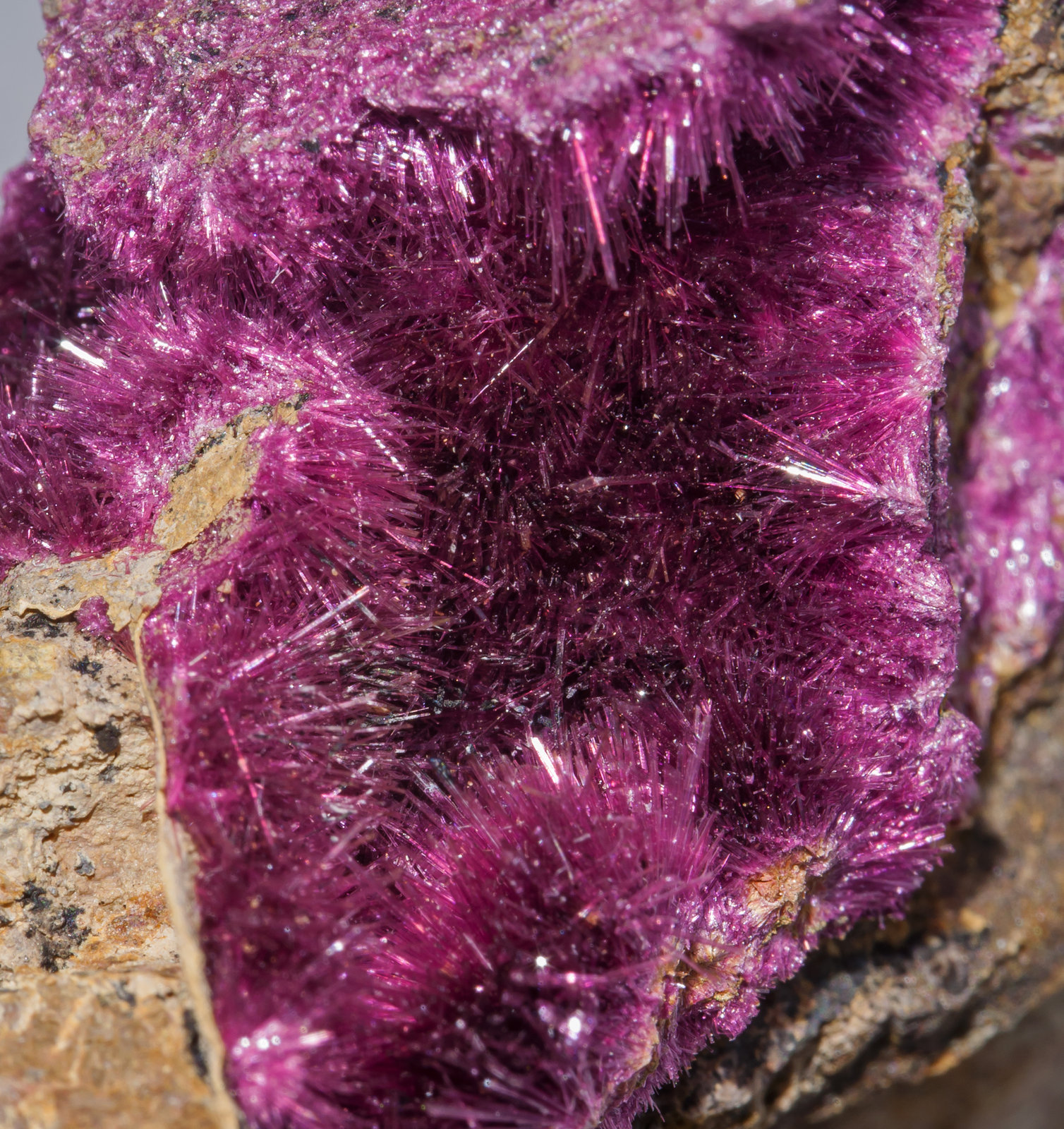 specimens/s_imagesAB3/Erythrite-CK26AB3d.jpg