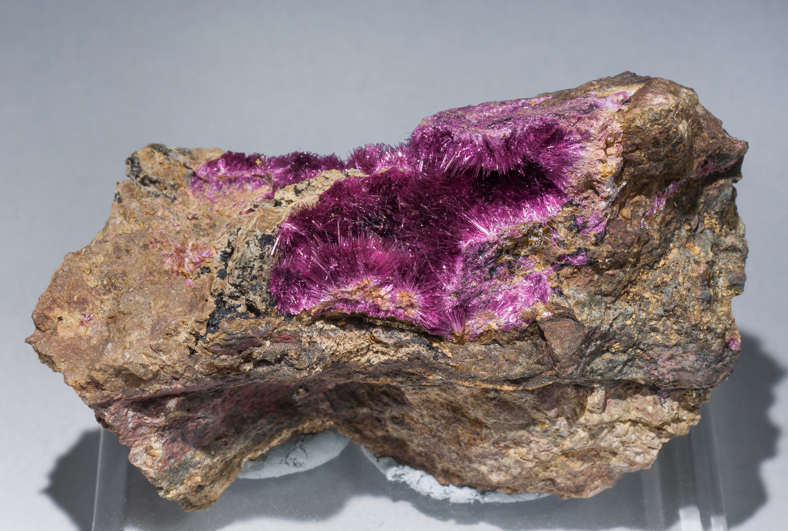 specimens/s_imagesAB3/Erythrite-CK26AB3f.jpg