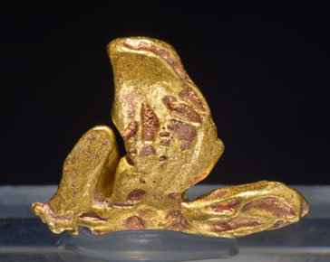 Gold. Rear