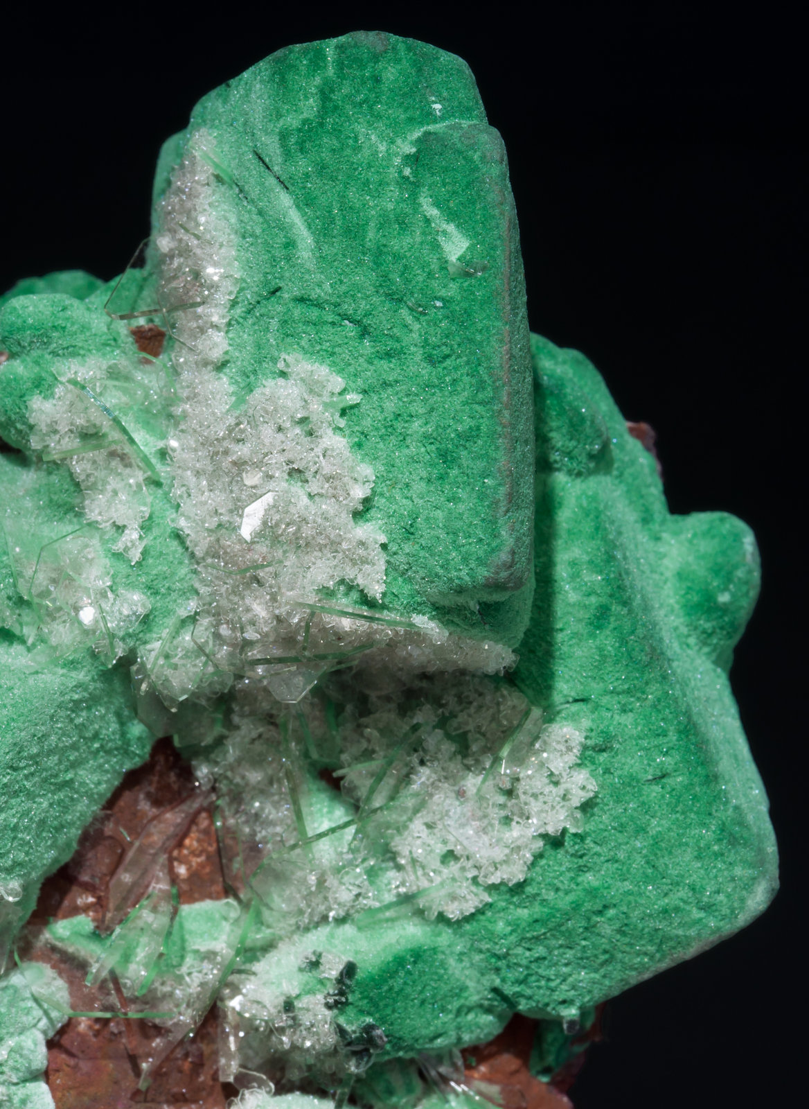 specimens/s_imagesAB3/Malachite-TA91AB3d.jpg