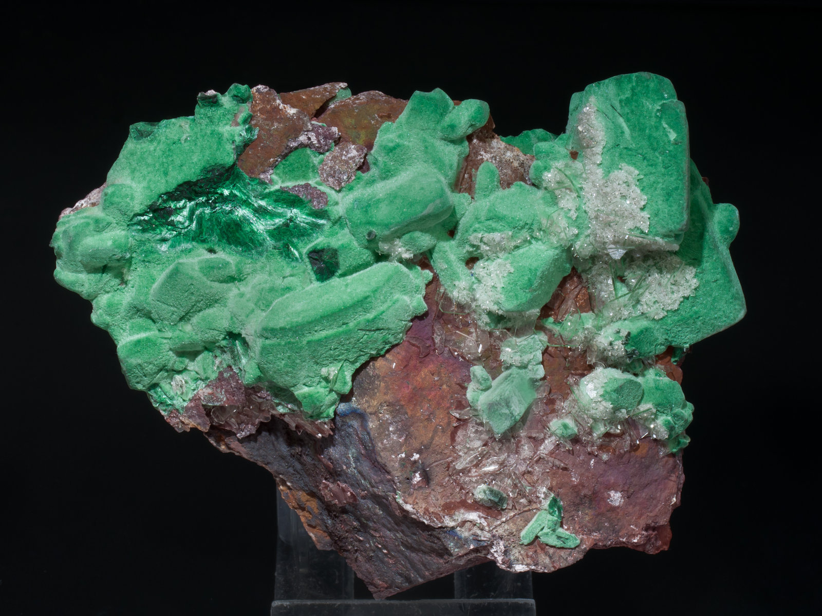 specimens/s_imagesAB3/Malachite-TA91AB3f.jpg