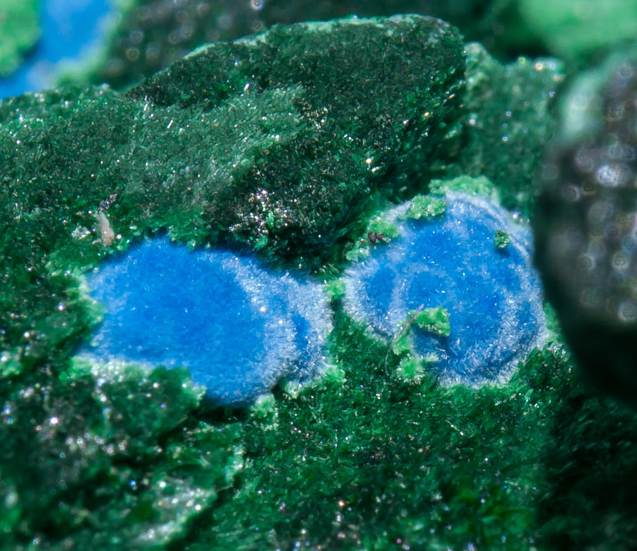 specimens/s_imagesAB3/Malachite-TF74AB3d.jpg