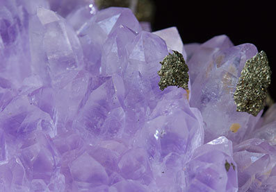 Quartz (variety amethyst) with Pyrite. 