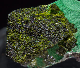 Volborthite with Malachite. Rear