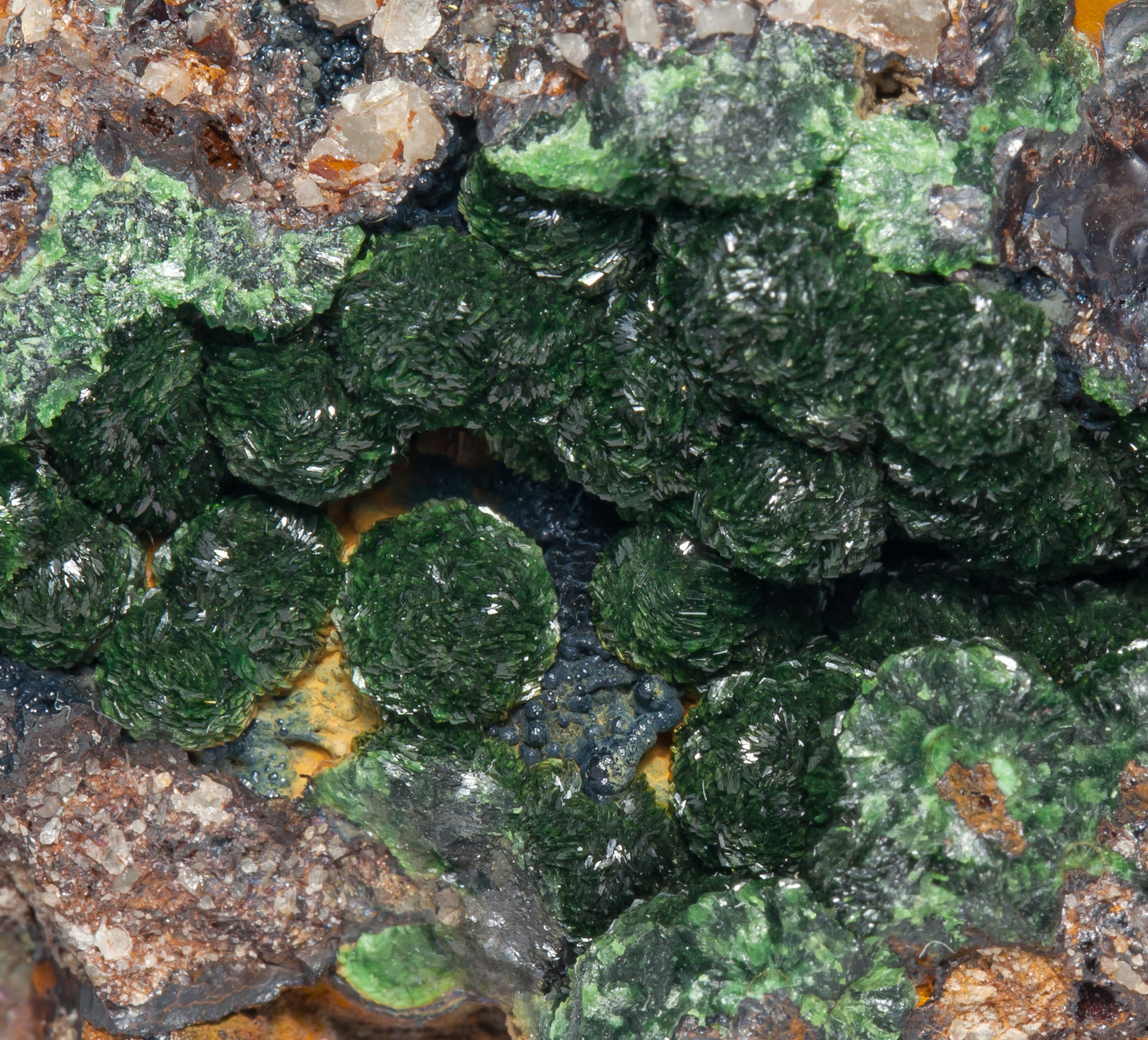 specimens/s_imagesAB4/Chalcosiderite-TD99AB4d.jpg