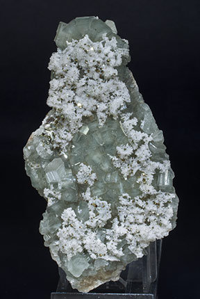 Fluorapatite with Quartz and Pyrite. 