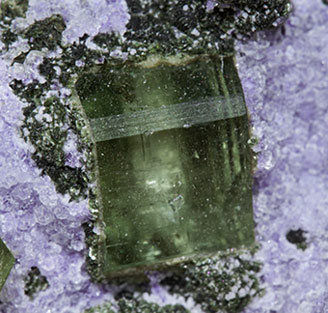 Fluorite with Fluorapatite, Arsenopyrite and Muscovite. 