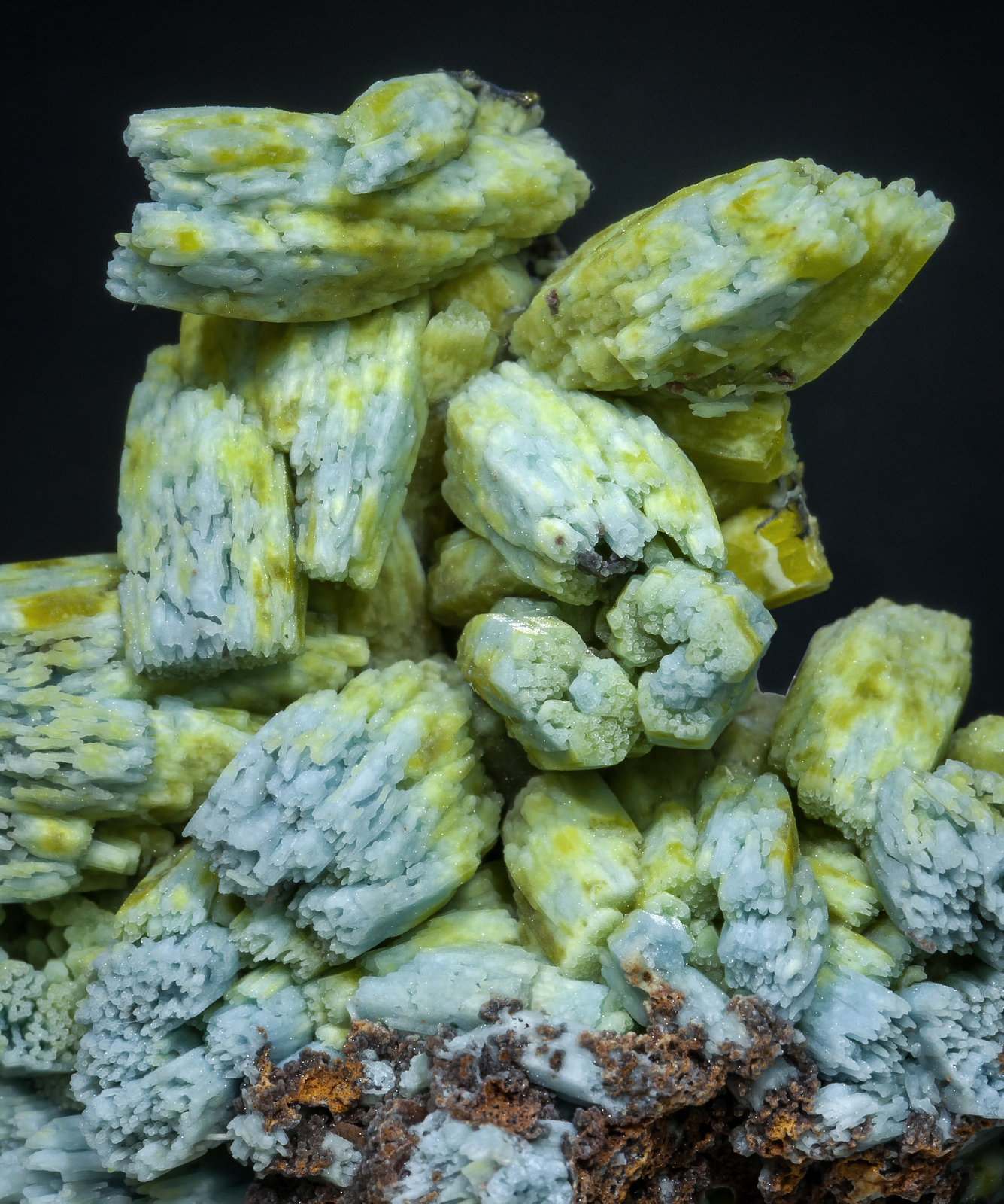 specimens/s_imagesAB5/Pyromorphite-TP70AB5d.jpg