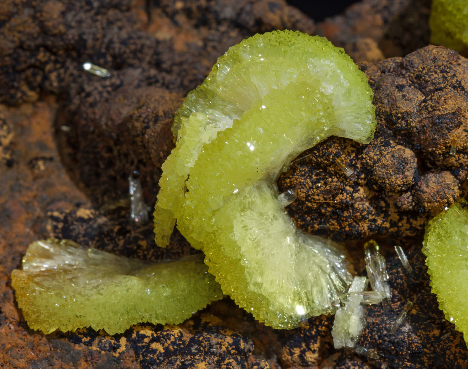 specimens/s_imagesAB7/Adamite_cuprian-NP96AB7d.jpg