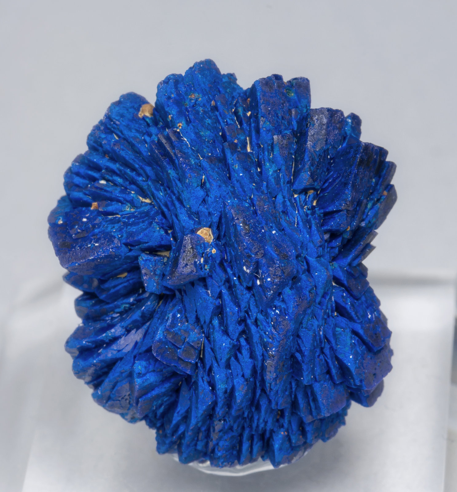 specimens/s_imagesAB7/Azurite-TE14AB7f.jpg