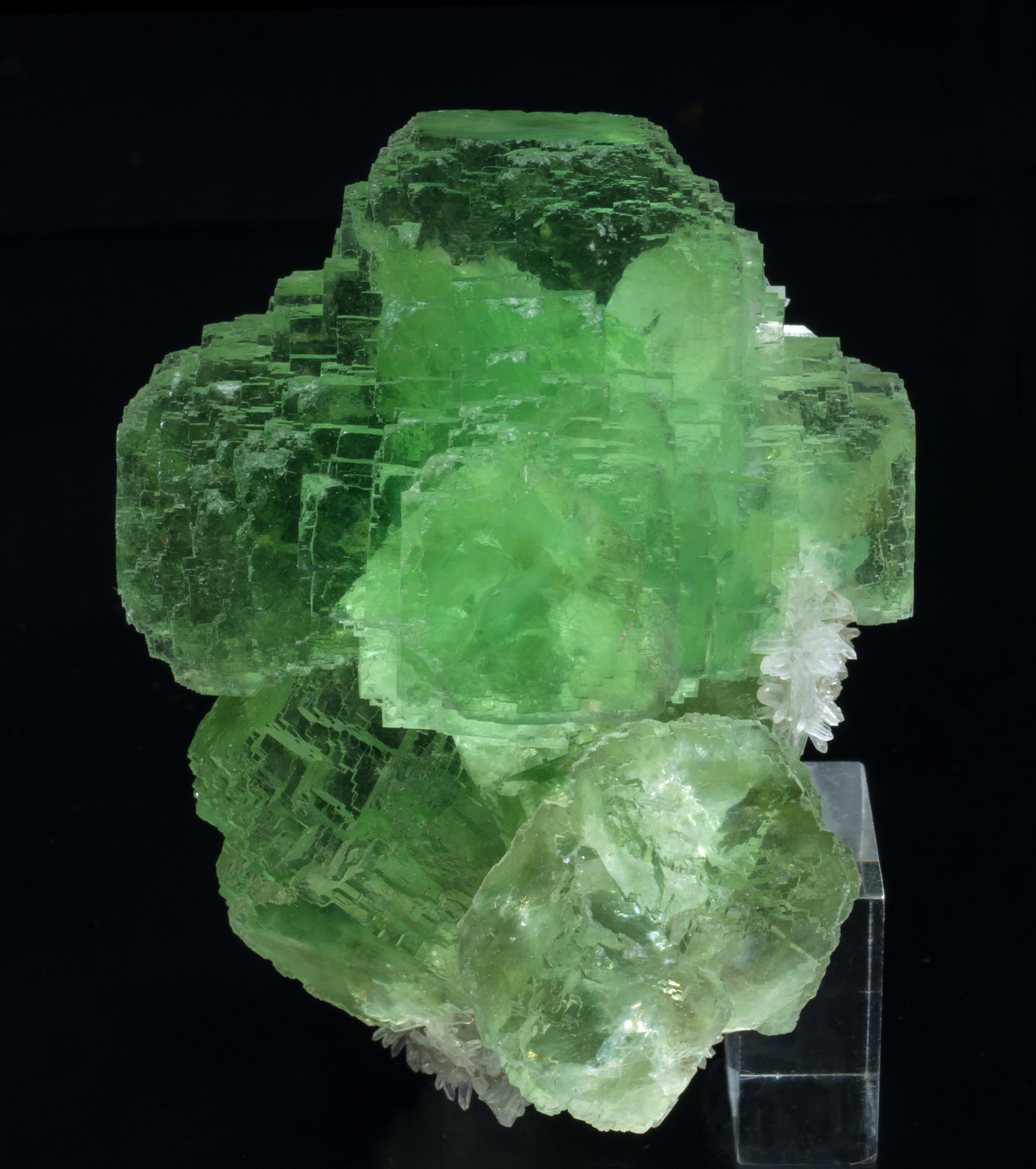 specimens/s_imagesAB7/Fluorite-TP74AB7s.jpg