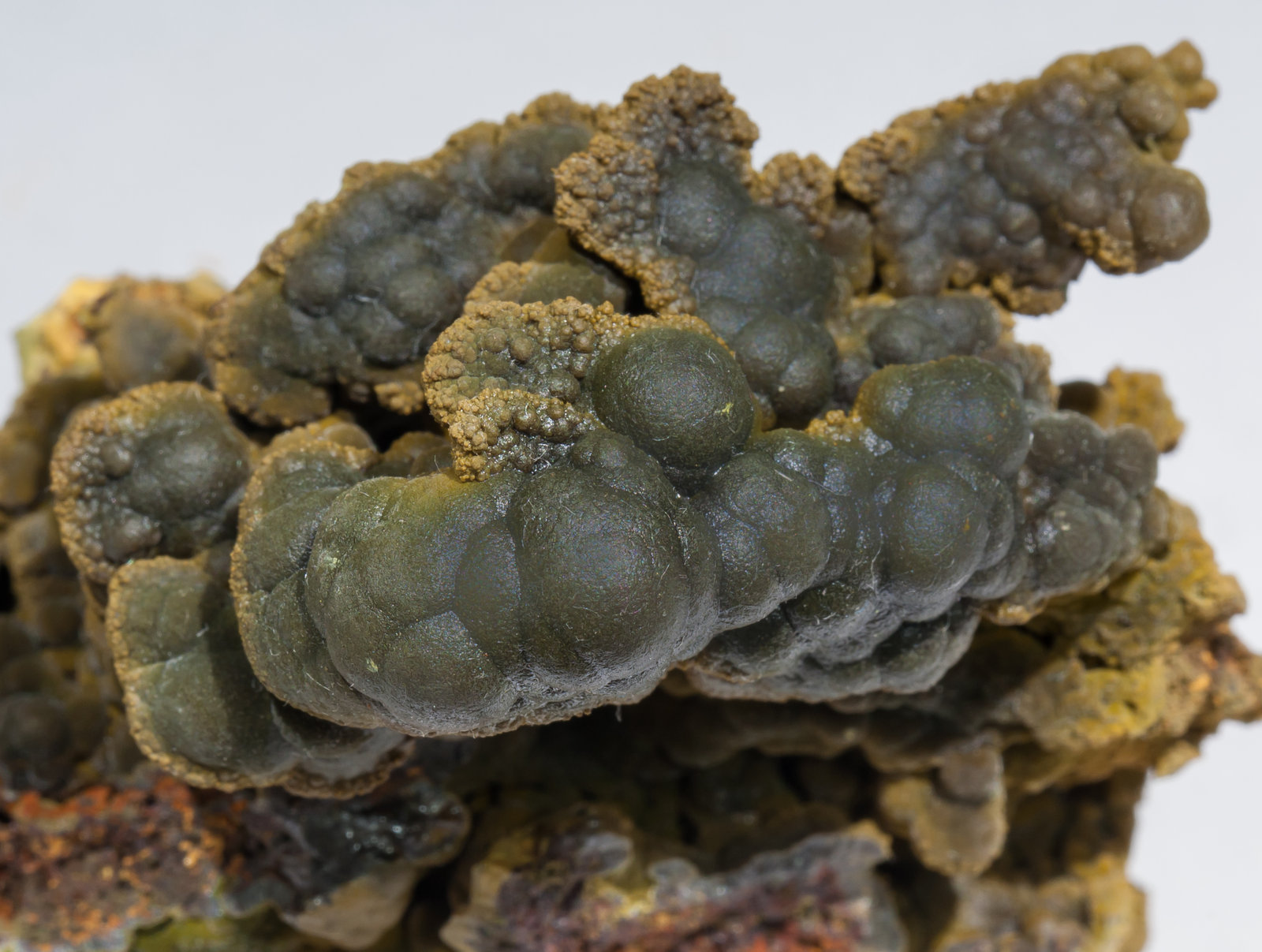 specimens/s_imagesAB7/Mottramite-TZ8AB7d.jpg