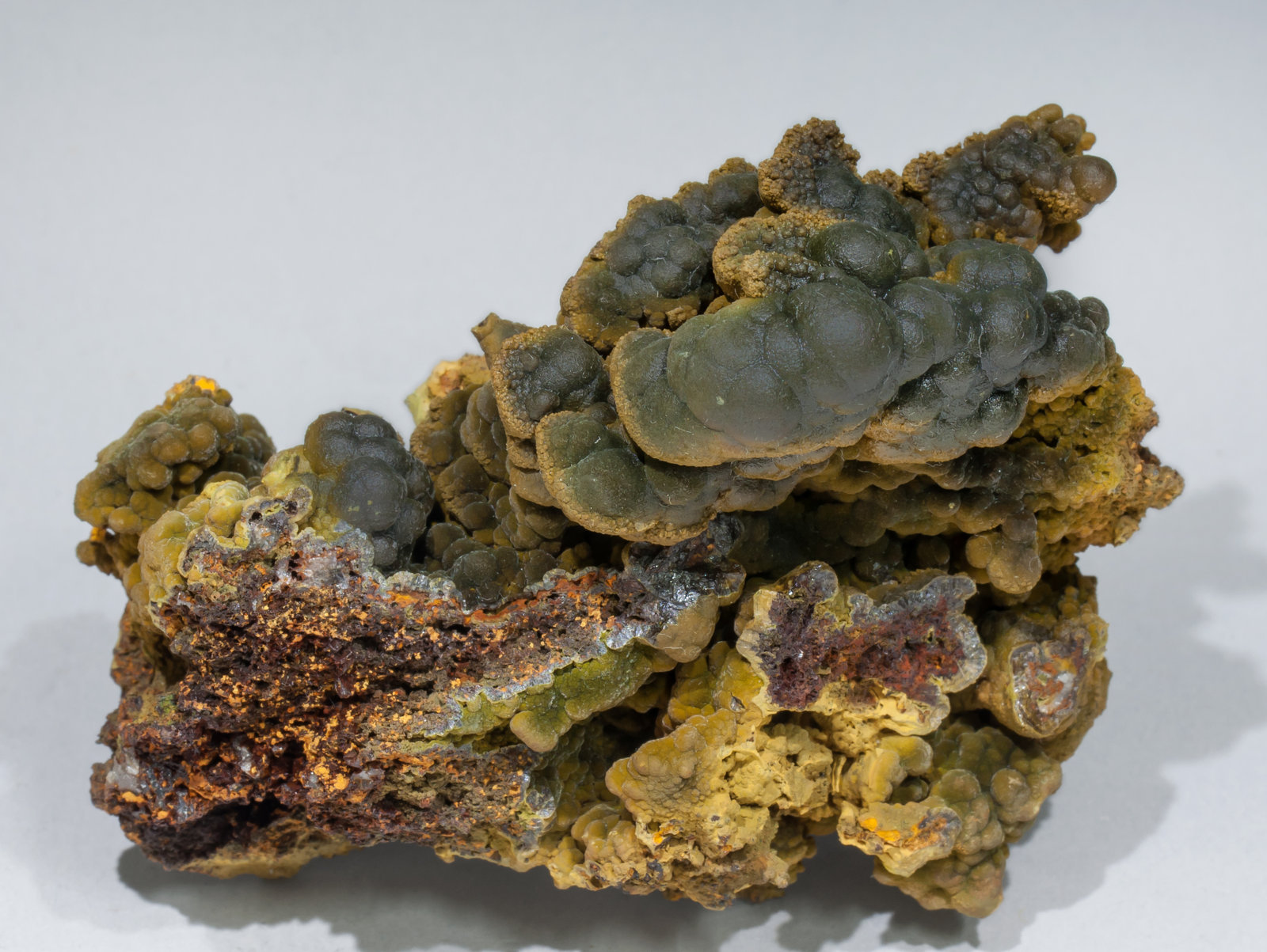 specimens/s_imagesAB7/Mottramite-TZ8AB7f.jpg