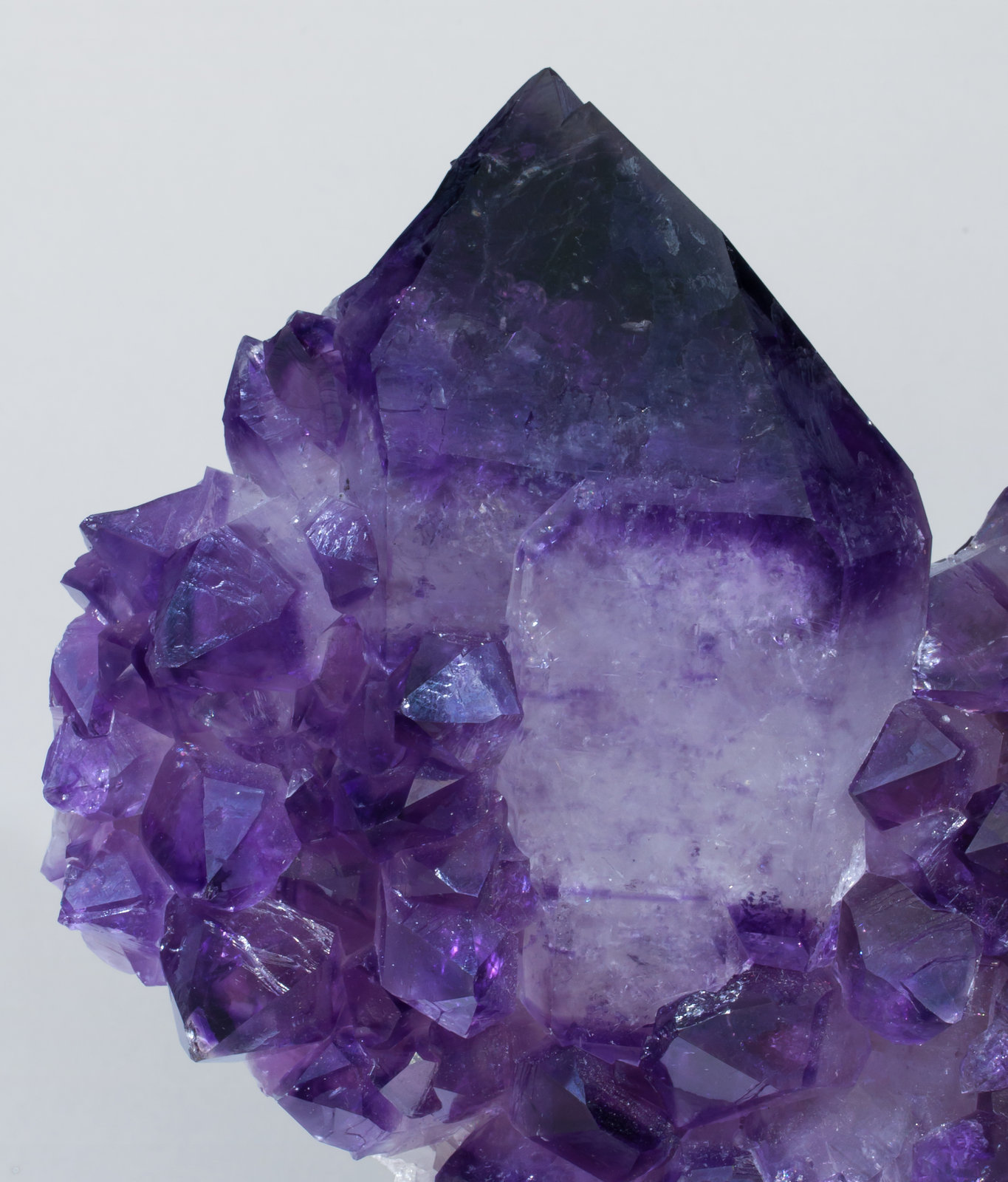 specimens/s_imagesAB7/Quartz_amethyst-MR76AB7d.jpg