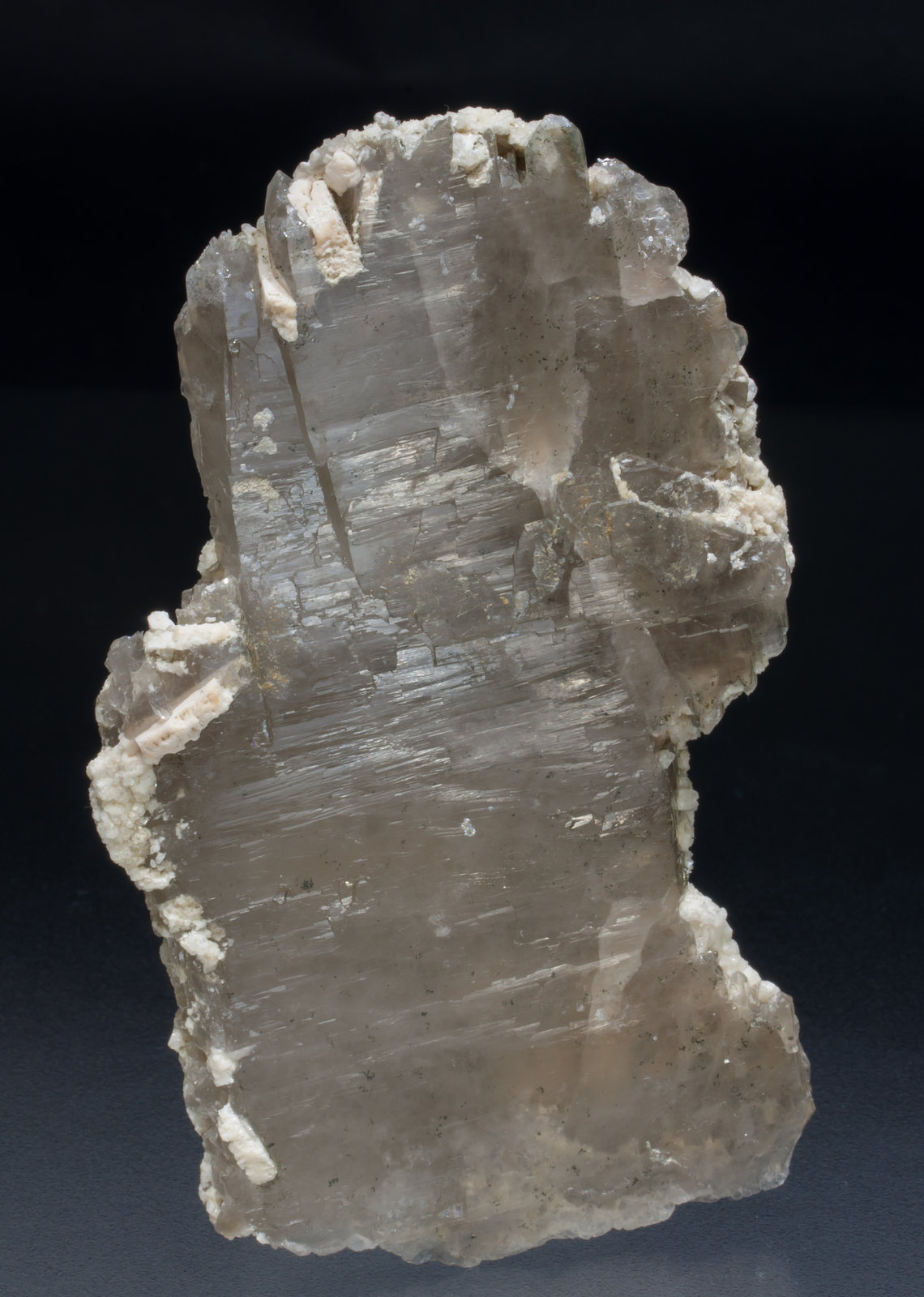 specimens/s_imagesAB7/Quartz_smoky-RF12AB7f.jpg