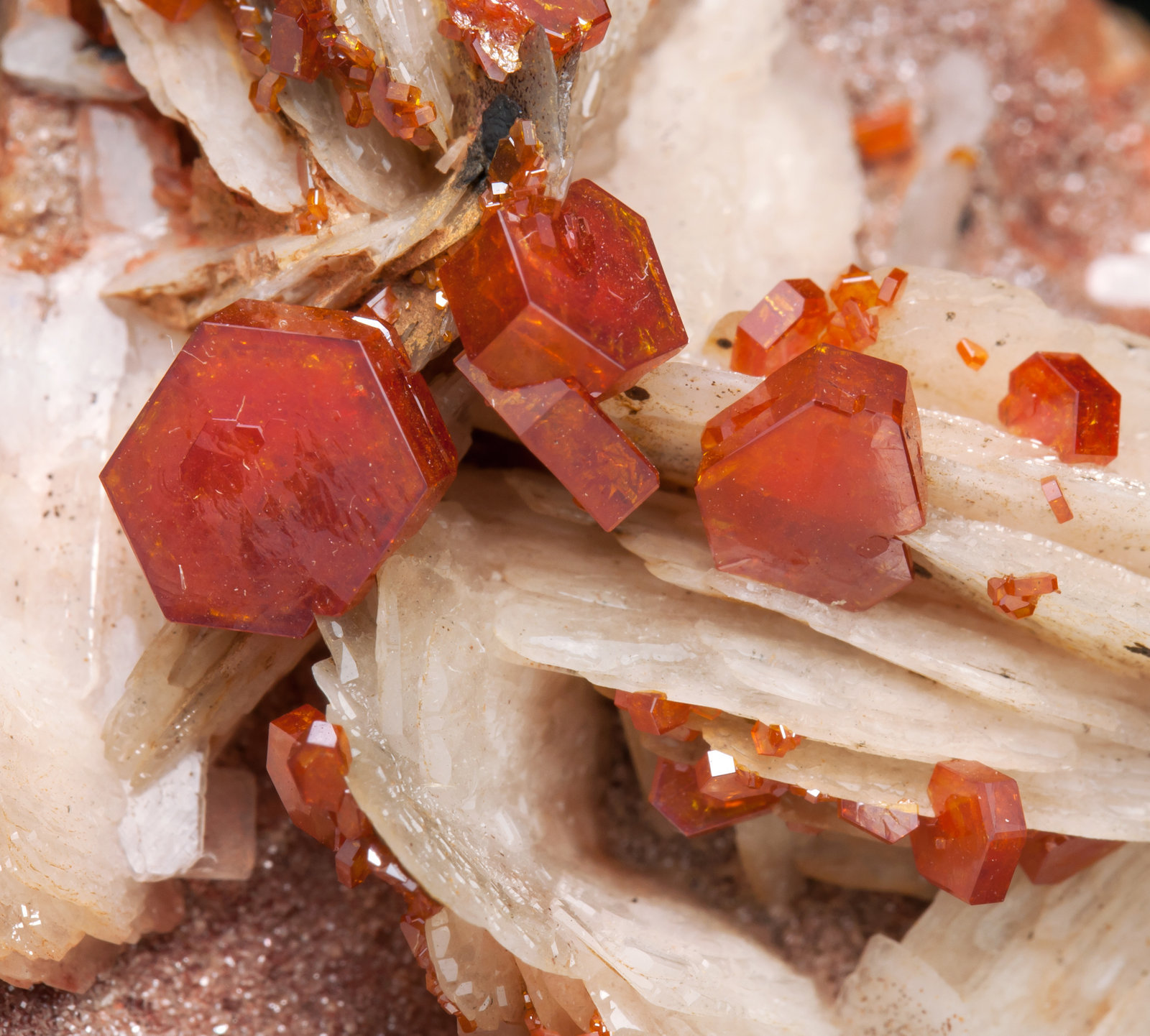 specimens/s_imagesAB7/Vanadinite-T26MCAB7d.jpg