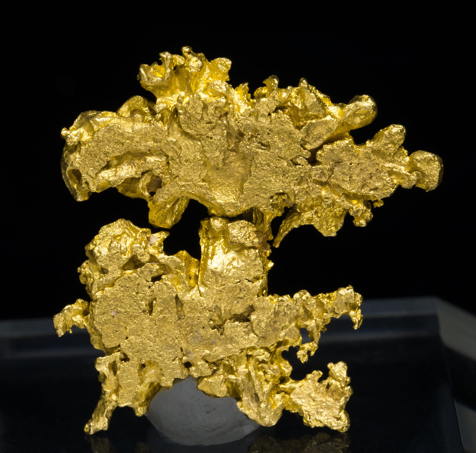 specimens/s_imagesAB8/Gold-TA16AB8f.jpg