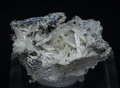 Olshanskyite with Andradite, Wurtzite and Galena.